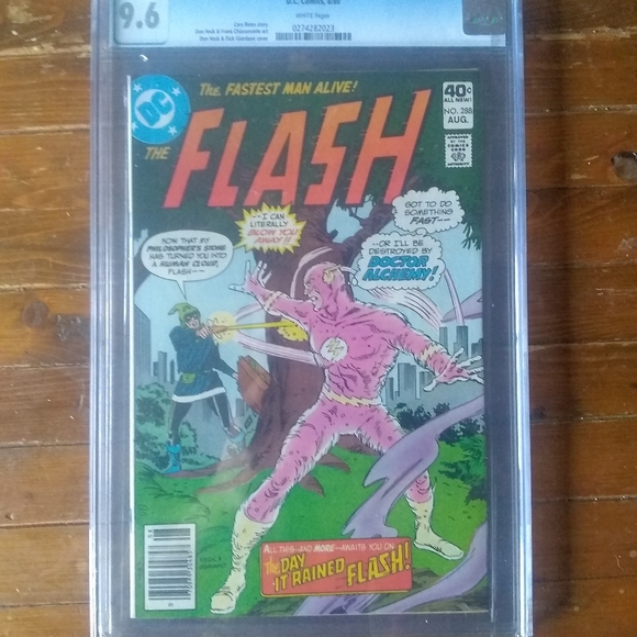 The flash 288 9.6 - Picture 1 of 2